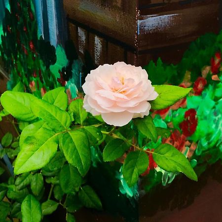 Gia Hung Motel Vung Tau Exteriör bild